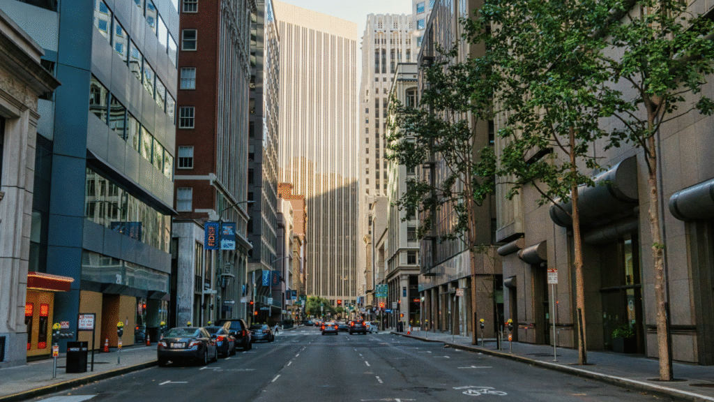 Lifestyle and Local Attractions